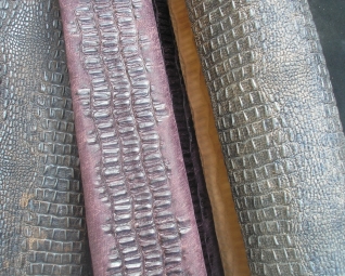 P8170300 [Desktop Resolution].JPG